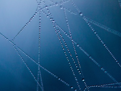 CameraForensics platform now available through Paliscope