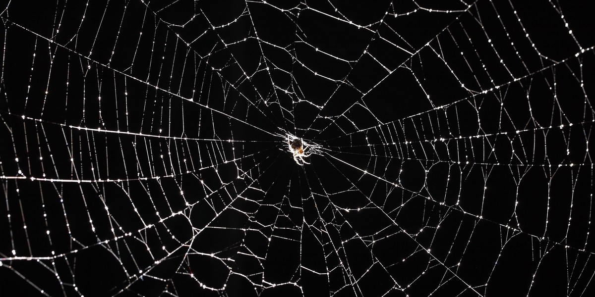 StormCrawler demonstrates the power of open source