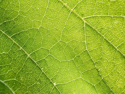 The need for monitoring processes within CameraForensics