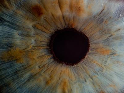 Reflecting on 2023 at CameraForensics 