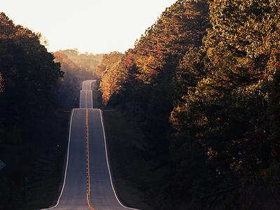 CameraForensics in 2024: our roadmap